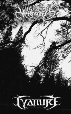 Nekrotiis : Cyanure - Nekrotiis